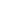 speed icon